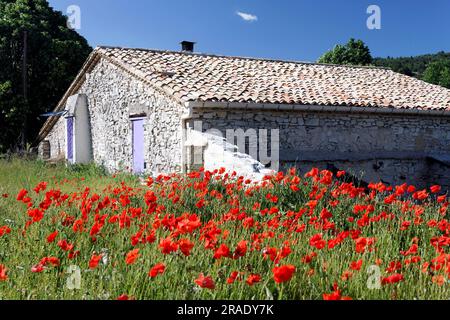 En Provence Banque D'Images