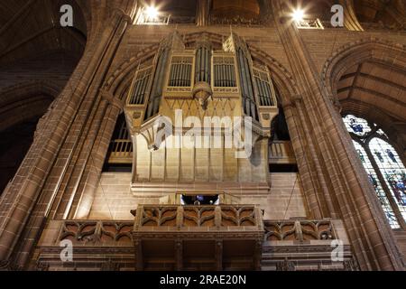 Vu ici est l'orgue, un aspect interne lié à la cathédrale anglicane de Liverpool. Banque D'Images