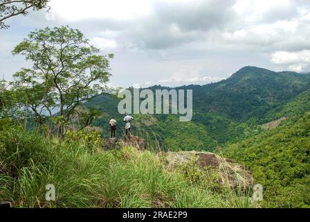 Une scène sur le chemin de Porivarai pré peintures rupestres historiques de Karikkaiyur Karikkiyoor, Nilgiris, Tamil Nadu, Inde du Sud, Inde, Asie Banque D'Images