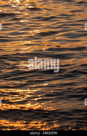 Ondulation de la mer mer de la surface de l'eau avec lumière dorée de coucher de soleil. Gros plan sur les vagues de mer Banque D'Images