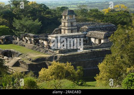 Palais, Palenque, Chiapas, Mexique Banque D'Images