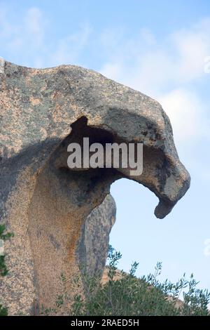 Roches granitiques, Bear Cape, côte près de Palau, Sardaigne, Capo d'Orso, Italie Banque D'Images