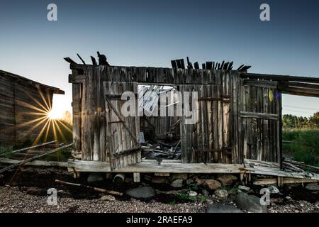 Une ancienne cabane en bois abandonnée sur la côte. Carélie. Photo de haute qualité Banque D'Images