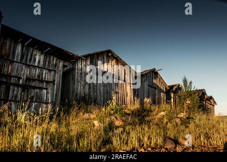 Une ancienne cabane en bois abandonnée sur la côte. Carélie. Photo de haute qualité Banque D'Images