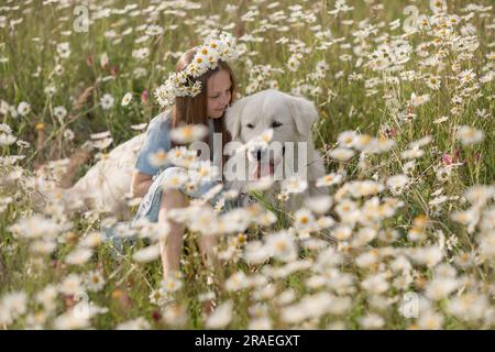 Femme chien prairie camomille. La jeune fille embrasse son ami à fourrure Maremme Sheepdog dans un domaine serein de camomille, entouré de verdure luxuriante. Amour et Banque D'Images