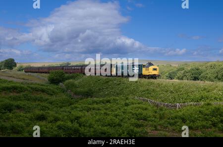 Diesel classe 37264 NYMR Banque D'Images