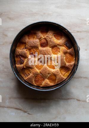 Gâteau à l'abricot dans un moule à gâteau rond isolé sur fond clair Banque D'Images