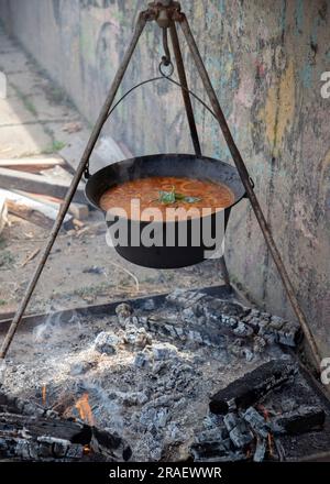 Un pot bouillant de soupe de poisson cuisant sur la rive du Danube Banque D'Images