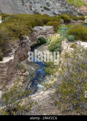 Le ruisseau le long de Sendero Paisajes del Agua dans le parc national El Leoncito, province de San Juan, Argentine. Banque D'Images