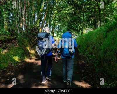 Melide, Espagne. 01st juin 2023. Deux pèlerins sont vus marcher avec leurs sacs à dos lourds. Le Camino de Santiago (le chemin de Saint James) c'est l'une des grandes routes de pèlerinage au monde. Le dernier 100 km de Saint-Jacques-de-Compostelle est le minimum de marche requis pour obtenir la Compostelle, un certificat délivré par le Bureau de l'attention du pèlerin à Saint-Jacques. Pour cette raison de plus en plus de pèlerins commencent de Sarria qui marque le dernier 100 km sur sept itinéraires différents de Camino. Crédit : SOPA Images Limited/Alamy Live News Banque D'Images