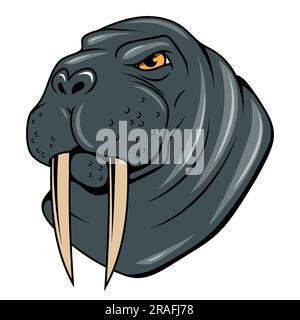 PAG. Illustration vectorielle d'un dessin animé animal polaire. Animal en colère. Odobenus rosmarus Illustration de Vecteur