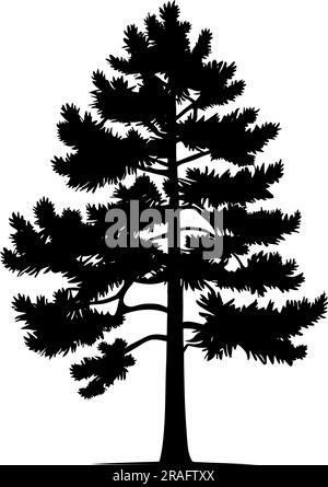 Silhouette d'arbre de conifères isolée sur fond blanc. illustration vectorielle Illustration de Vecteur