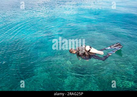 Plongeur en surface dans l'eau claire Cristal dans les Caraïbes. Banque D'Images