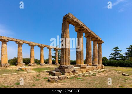 Temple de Hera, tables palatine, Bernalda, Matera, Basilicate, Italie Banque D'Images