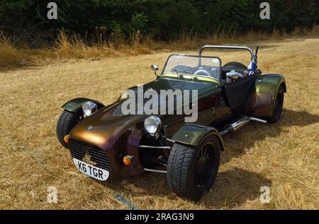 Voiture de sport Tiger Racing classique garée sur l'herbe. Banque D'Images