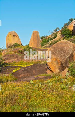 Texas, Hill Country, couvre les comtés de Gillespie et Llano, la zone naturelle de l'État de Enchanted Rock, vue depuis le sentier Interpretive Loop Banque D'Images