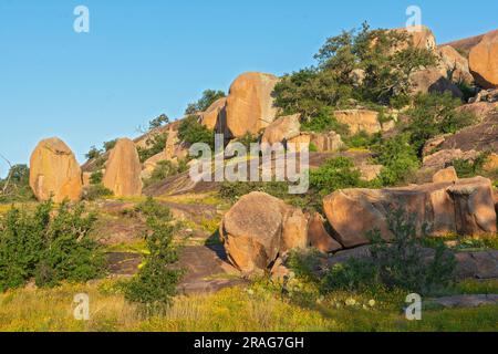 Texas, Hill Country, couvre les comtés de Gillespie et Llano, la zone naturelle de l'État de Enchanted Rock, vue depuis le sentier Interpretive Loop Banque D'Images