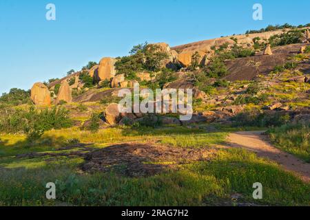 Texas, Hill Country, couvre les comtés de Gillespie et Llano, la zone naturelle de l'État de Enchanted Rock, vue depuis le sentier Interpretive Loop Banque D'Images