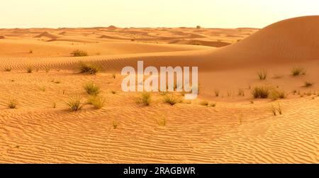 Paysage désertique Dubai, Émirats Arabes Unis Banque D'Images