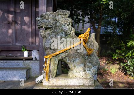 Komainu, ou lion-dog, statue avec corde shimenawa à l'imohoritougorou jinja, Kanazawa, Japon. Banque D'Images