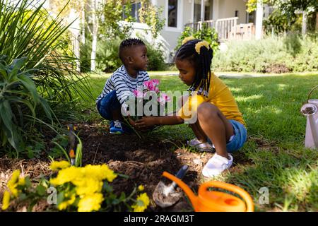 Frère et sœur afro-américains plantant des fleurs fraîches sur des terres herbeuses dans la cour à l'extérieur de la maison Banque D'Images