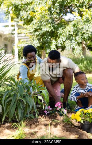 Parents afro-américains avec fils plantant des fleurs fraîches sur le champ contre des arbres dans la cour arrière Banque D'Images