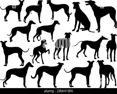 Ensemble de Silhouette de chien de Greyhound Illustration de Vecteur