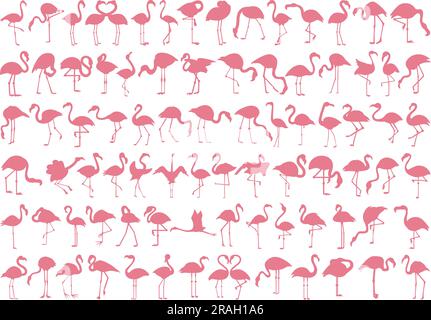 Set de Pink Flamingo Illustration de Vecteur