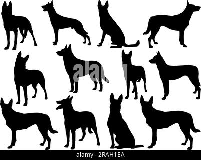 Ensemble de Silhouette belge Malinois Illustration de Vecteur