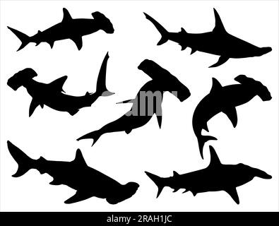 Ensemble de Hammerhead Shark Silhouette Illustration de Vecteur