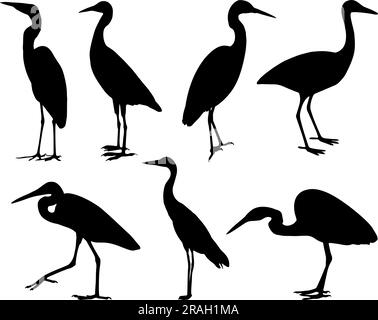 Ensemble de silhouette d'oiseau d'Egret Illustration de Vecteur