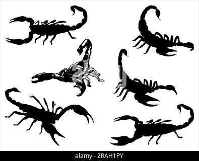 Ensemble de silhouettes Scorpion Illustration de Vecteur
