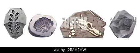 Icônes d'archéologie avec des pierres avec des squelettes de dinosaures fossiles, des plantes, des coquillages et des poissons préhistoriques. Collection de paléontologie avec crâne de dino en roche, seashell et feuilles, ensemble de dessins animés vectoriels Illustration de Vecteur