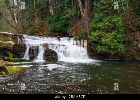 Bowen Park Falls, à Bowen Park, Nanaimo (Colombie-Britannique), Canada. Banque D'Images