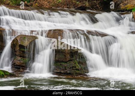 Bowen Park Falls, à Bowen Park, Nanaimo (Colombie-Britannique), Canada. Banque D'Images