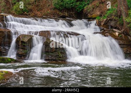 Bowen Park Falls, à Bowen Park, Nanaimo (Colombie-Britannique), Canada. Banque D'Images