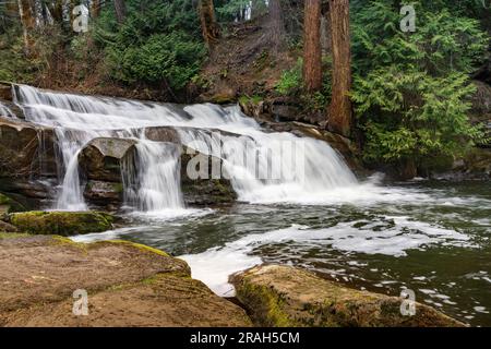 Bowen Park Falls, à Bowen Park, Nanaimo (Colombie-Britannique), Canada. Banque D'Images