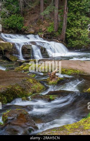 Bowen Park Falls, à Bowen Park, Nanaimo (Colombie-Britannique), Canada. Banque D'Images