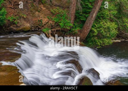 Bowen Park Falls, à Bowen Park, Nanaimo (Colombie-Britannique), Canada. Banque D'Images