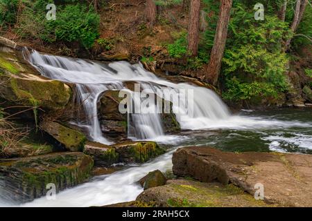 Bowen Park Falls, à Bowen Park, Nanaimo (Colombie-Britannique), Canada. Banque D'Images