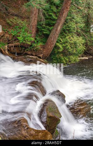 Bowen Park Falls, à Bowen Park, Nanaimo (Colombie-Britannique), Canada. Banque D'Images