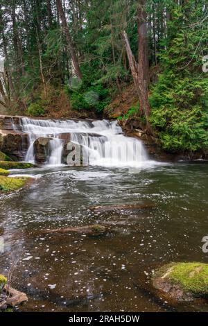 Bowen Park Falls, à Bowen Park, Nanaimo (Colombie-Britannique), Canada. Banque D'Images