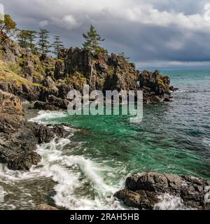 Le rivage rocheux de l'île de Vancouver, à Creyke point, dans le parc régional East Sooke, Colombie-Britannique, Canada. Banque D'Images