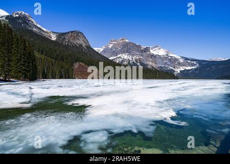 Lac Emerald partiellement dégelé dans le parc national Yoho, Colombie-Britannique, Canada. Banque D'Images