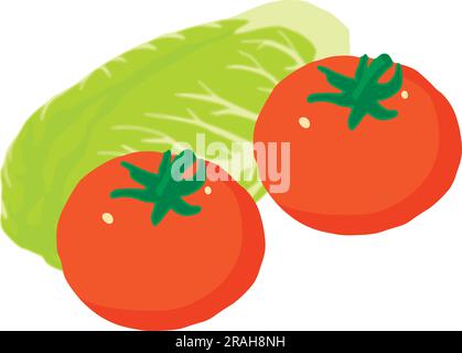 Vecteur isométrique de l'icône du produit à salade. Chou chinois frais près de deux tomates rouges. Aliments crus, nutrition saine Illustration de Vecteur