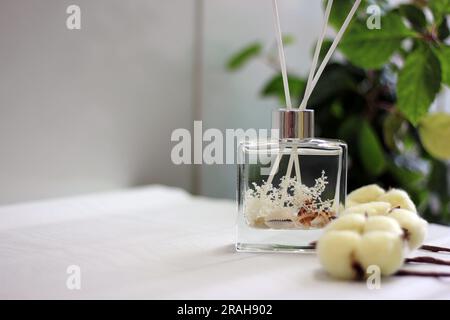 Diffuseur de bouteille en verre transparent avec coquilles de mer et concept de parfum coton Banque D'Images