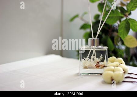 Diffuseur de bouteille en verre transparent avec coquilles de mer et concept de parfum coton Banque D'Images