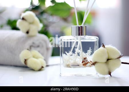 Diffuseur de bouteille en verre transparent avec coquilles de mer et concept de parfum coton Banque D'Images