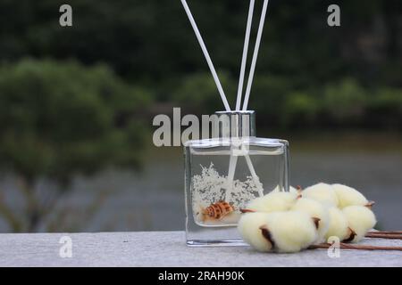 Diffuseur de bouteille en verre transparent avec coquilles de mer et concept de parfum coton Banque D'Images