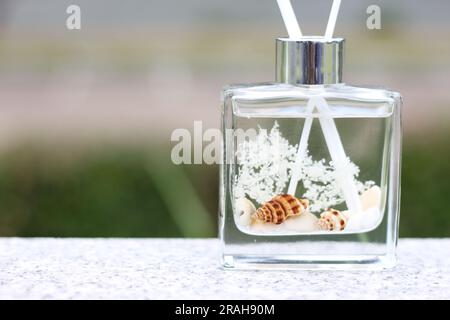 Diffuseur de bouteille en verre transparent avec coquilles de mer et concept de parfum coton Banque D'Images